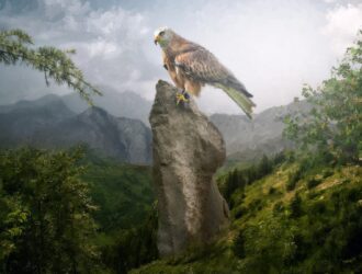 Left4 Direct trade ihil adipisicin thundercats viral helvetica