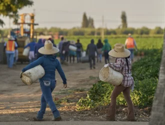 La gran retractación: cómo una política controvertida sobre inmigración afectó a 1,2 millones de vidas en Estados Unidos bajo el mando de Donald Trump