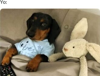 «La Batalla por la Libertad de Expresión: Liderazgos Políticos Descartan la Posibilidad de Impulsar la Ley ‘Sticker’ Contra los Memes en Internet»