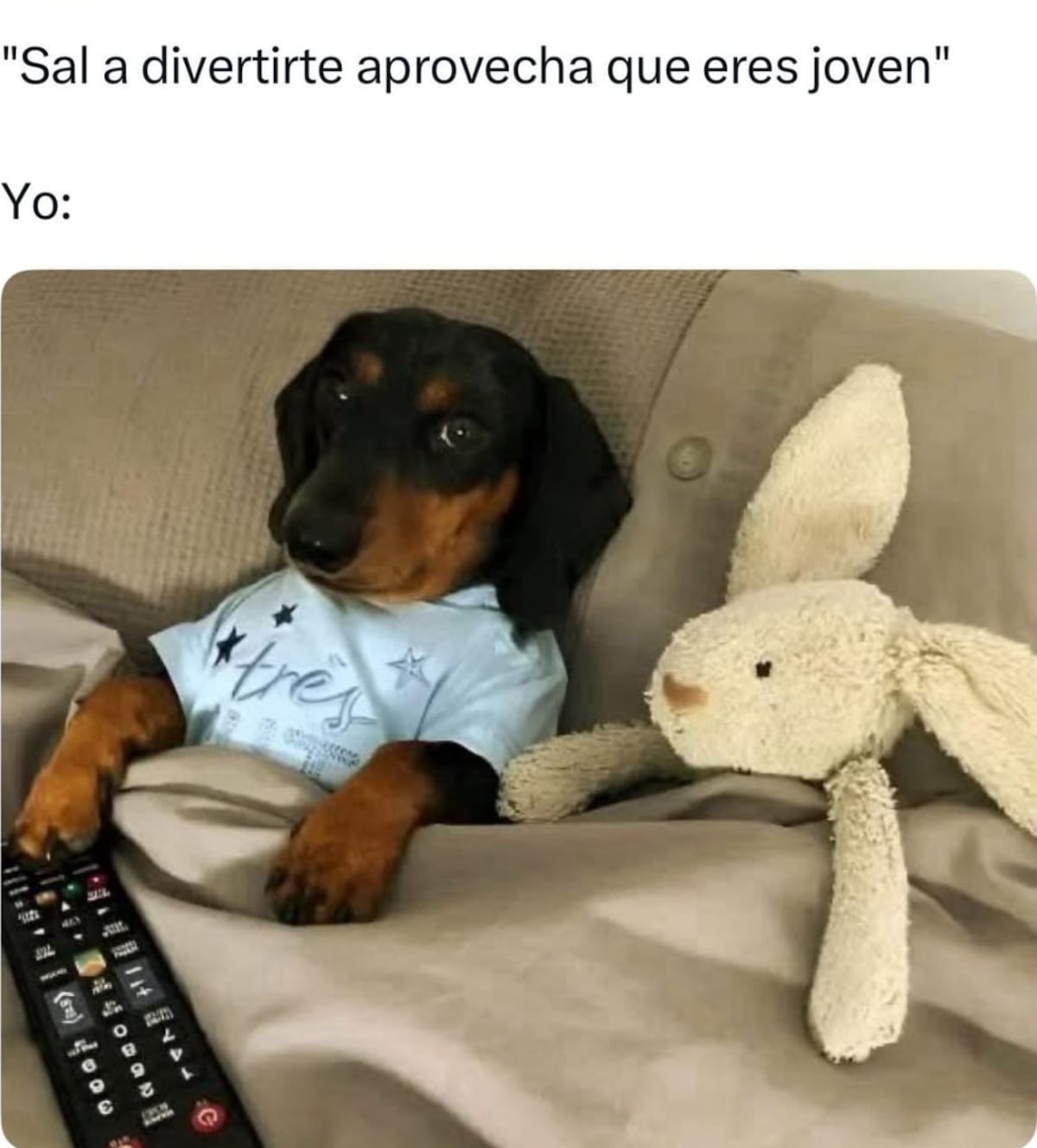 «La Batalla por la Libertad de Expresión: Liderazgos Políticos Descartan la Posibilidad de Impulsar la Ley ‘Sticker’ Contra los Memes en Internet»