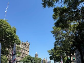 Justicia en movimiento: Audiencias históricas entre Estado y organizaciones de defensa de personas con discapacidad para abordar las consultas más esperadas desde décadas