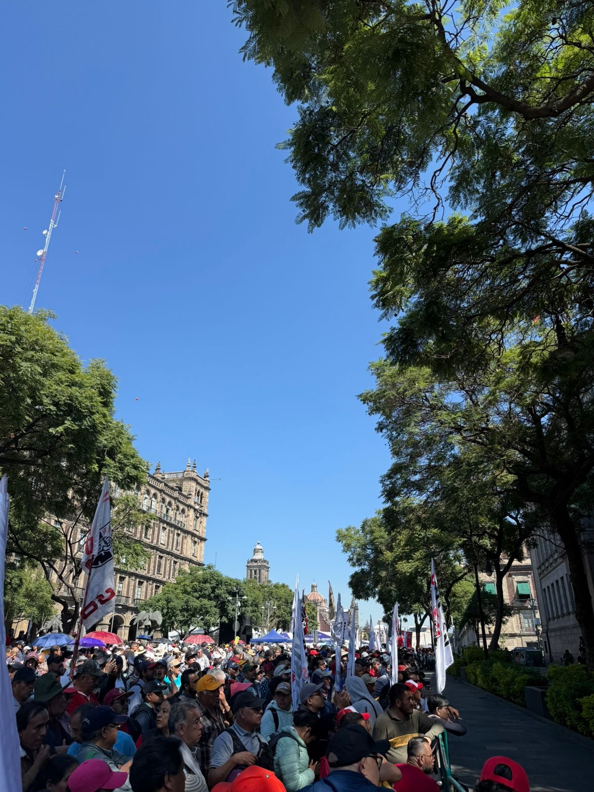 Justicia en movimiento: Audiencias históricas entre Estado y organizaciones de defensa de personas con discapacidad para abordar las consultas más esperadas desde décadas