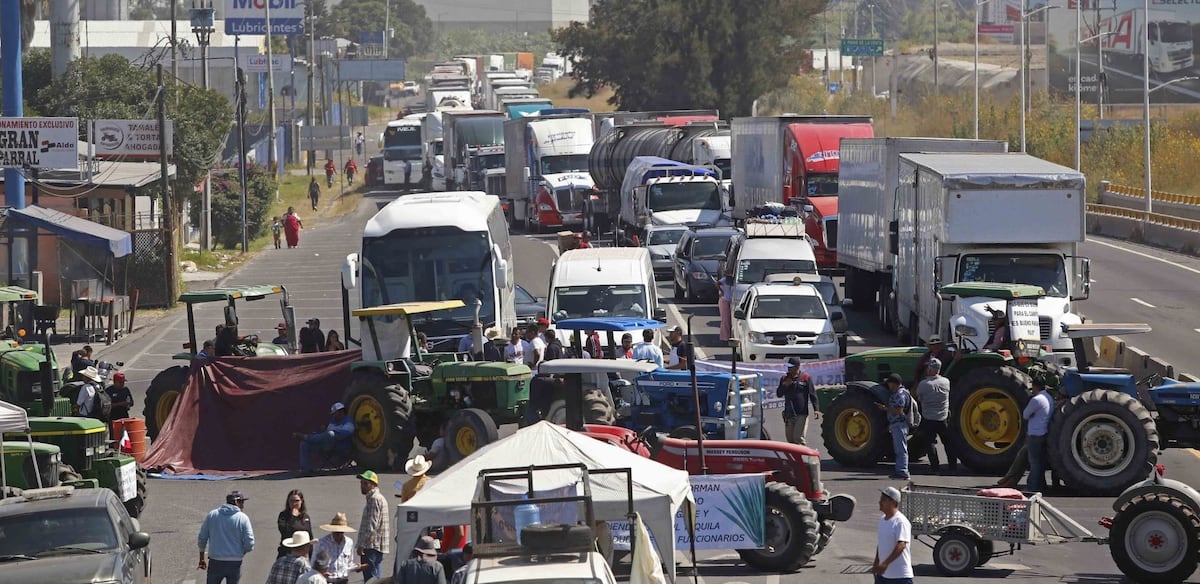 «La crisis agrícola que azota al país: Productores en lucha contra el abandono político y la falta de compromiso con el desarrollo rural»