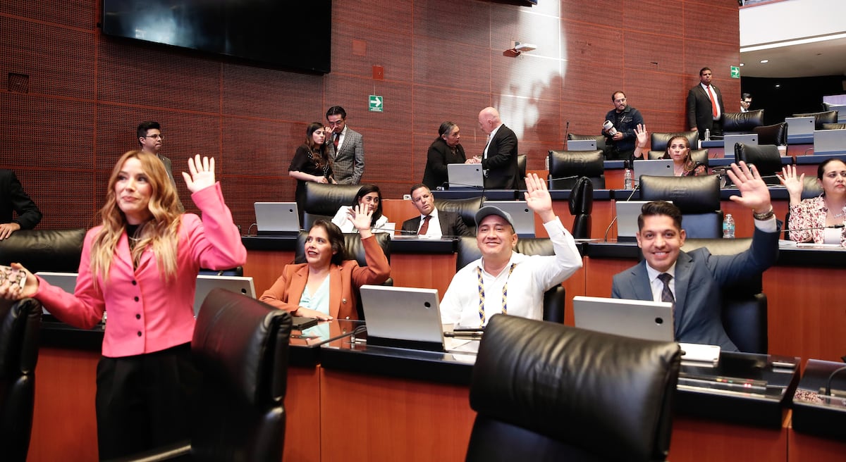 Ley Aduanera histórica entra en vigor: el Senado aprueba reforma que revoluciona la gestión de aduanas en México hasta enero 2026. Ley Aduanera histórica entra en vigor: el Senado aprueba reforma que revoluciona la gestión de aduanas en México hasta enero 2026.