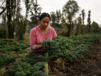 Lucha por la identidad cultural y ambiental: mujeres defienden patrimonio agrícola en los oasis del pasado en la capital mexicana.
