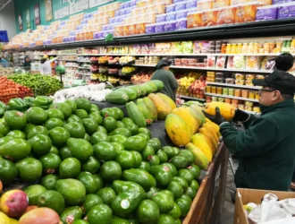 La UE Elimina Aduaneros sobre Carne de Res, Café y Frutas, Abriendo Las Puertas al Comercio Internacional