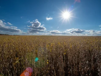 La Unión Económica Mundial se Salva: Senado Aprobó Resolución Histórica Para Revocar Aranceles Proteccionistas de Trump