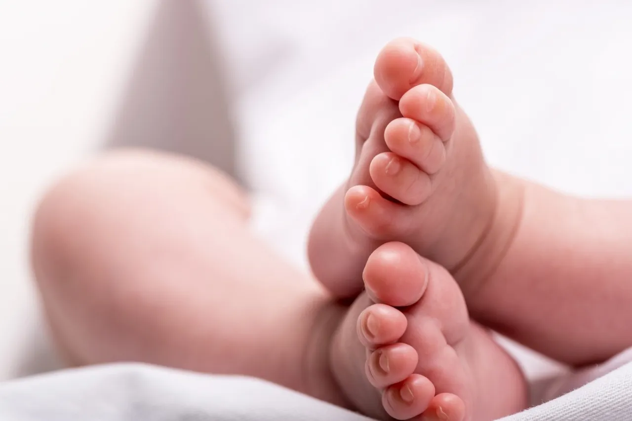 Tragedia en la Basura: Un Bebé Abandonado Desaparece en el Olvido